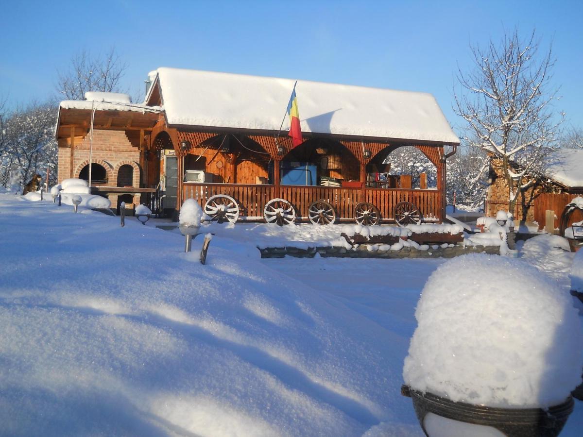 Pensiunea Roua Muntilor Sîmbăta de Sus Eksteriør billede