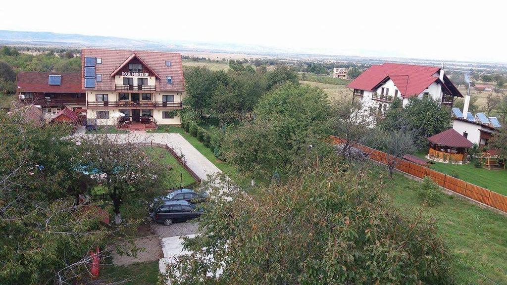 Pensiunea Roua Muntilor Sîmbăta de Sus Eksteriør billede